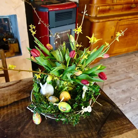 Romantisches Winzerhaeuschen Schwarzwald Und Weinberge