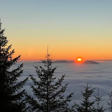 Romantisches Winzerhaeuschen Schwarzwald Und Weinberge *