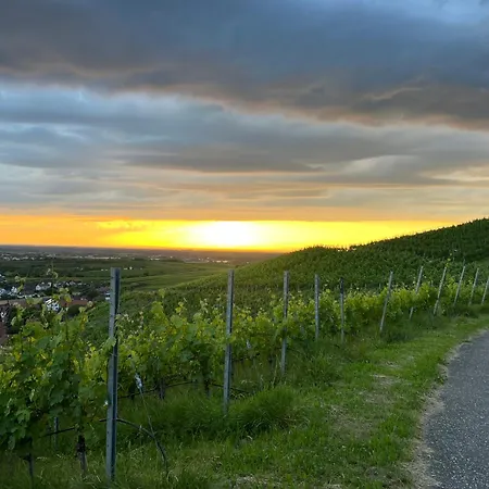 Romantisches Winzerhaeuschen Schwarzwald Und Weinberge בול