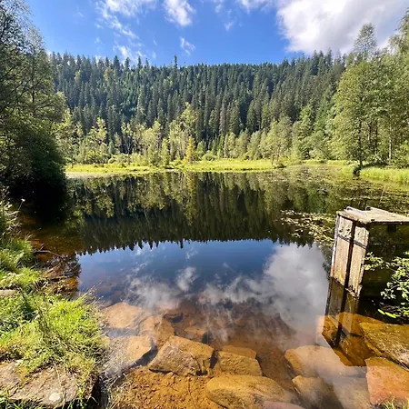 Romantisches Winzerhaeuschen Schwarzwald Und Weinberge * Bühl
