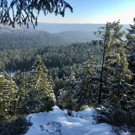 Romantisches Winzerhaeuschen Schwarzwald Und Weinberge Διαμέρισμα *
