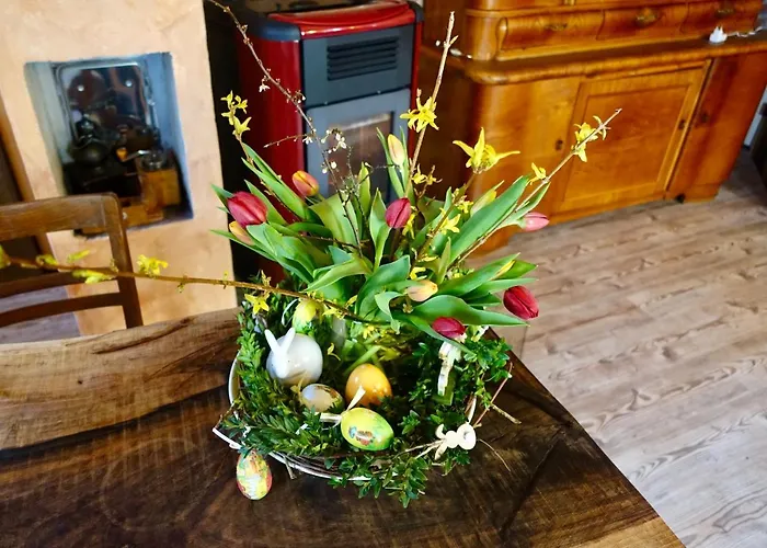 Romantisches Winzerhaeuschen Schwarzwald Und Weinberge