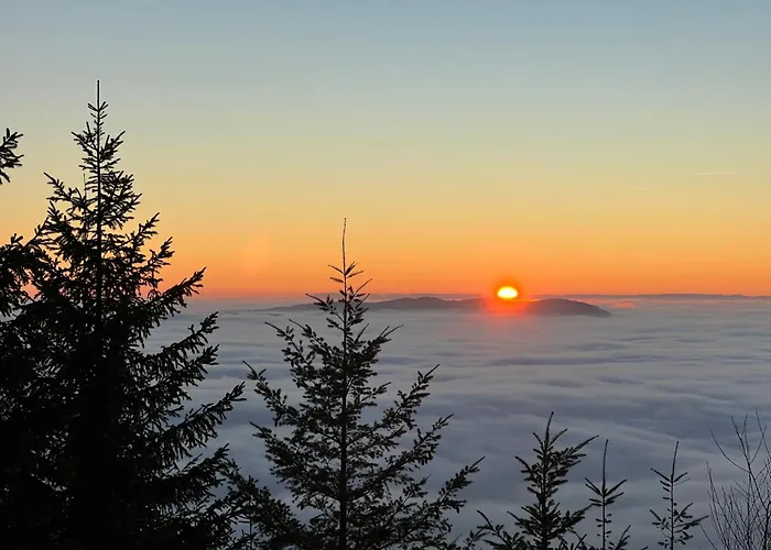Romantisches Winzerhaeuschen Schwarzwald Und Weinberge *