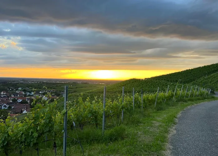 Romantisches Winzerhaeuschen Schwarzwald Und Weinberge Bühl