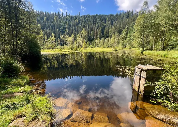 Romantisches Winzerhaeuschen Schwarzwald Und Weinberge * Bühl