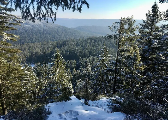 Romantisches Winzerhaeuschen Schwarzwald Und Weinberge Appartement *