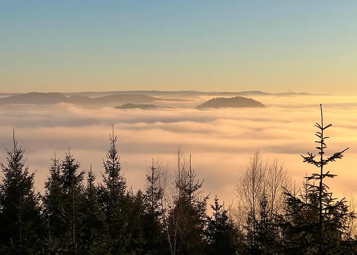 Appartement Romantisches Winzerhaeuschen Schwarzwald Und Weinberge *